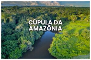 Metas Individuais e Debates sobre Petróleo Marcam a Cúpula da Amazônia