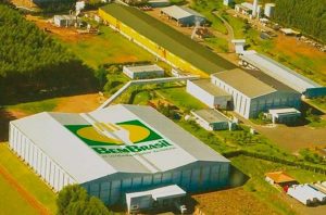 Semeando Bilhões: A história de sucesso da Bem Brasil no mercado de batatas