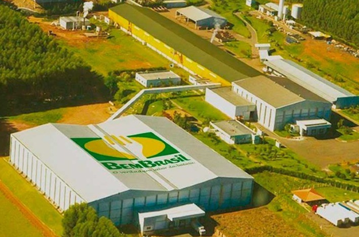 semeando-bilhoes-a-historia-de-sucesso-da-bem-brasil-no-mercado-de-batatas
