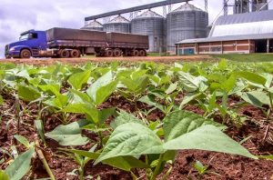 Brasil reforça seu domínio nas exportações agrícolas mundiais