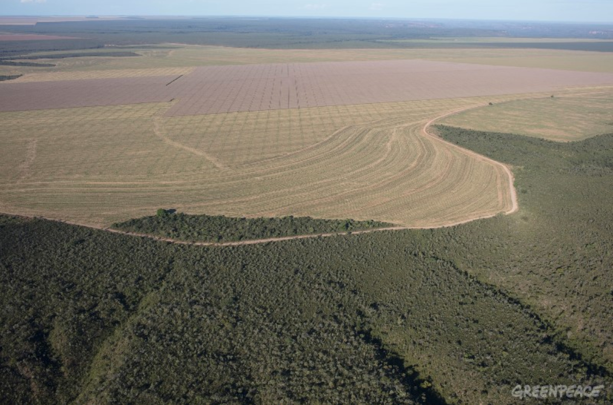 como-o-desmatamento-no-cerrado-pode-secar-nossas-torneiras