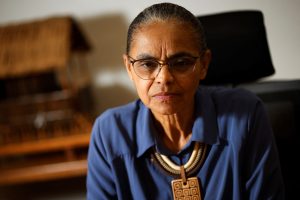 Redução do desmatamento pode ter alcançado 50% em setembro, diz Marina Silva
