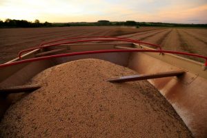 China assina acordos de compra de produtos agrícolas dos EUA na 1ª cerimônia em anos