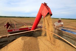 Soja sobe com relatório sobre demanda de exportação dos EUA