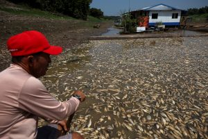 Seca na Amazônia afeta acesso de habitantes a alimentos e água