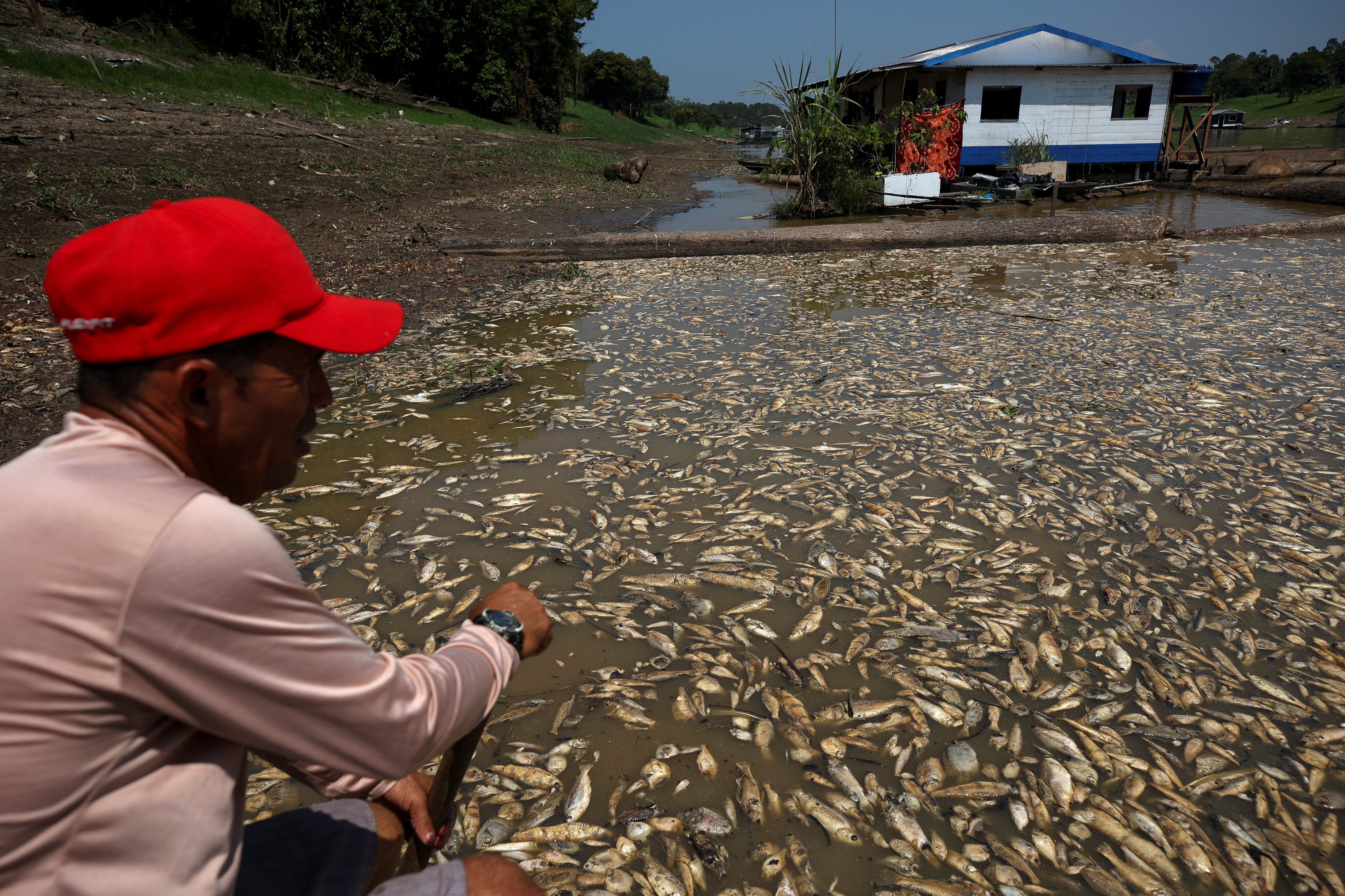 Seca na Amazônia afeta acesso de habitantes a alimentos e água