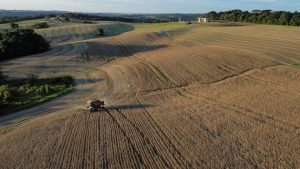 Agricultores sul-americanos dizem que lei ambiental da UE é barreira comercial disfarçada