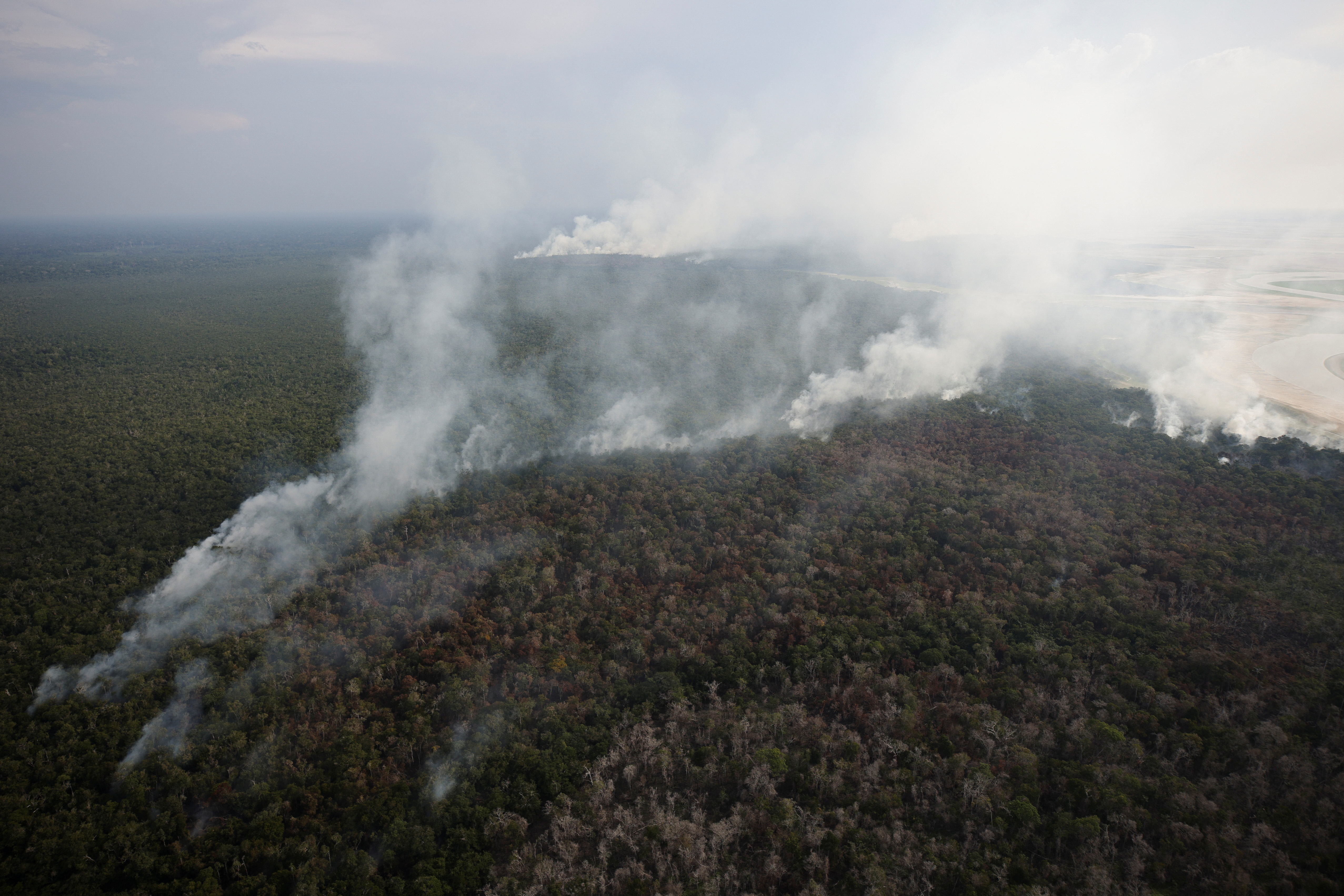 Brasil tem queda nas queimadas apesar de seca, mas El Niño preocupa para próximo ano