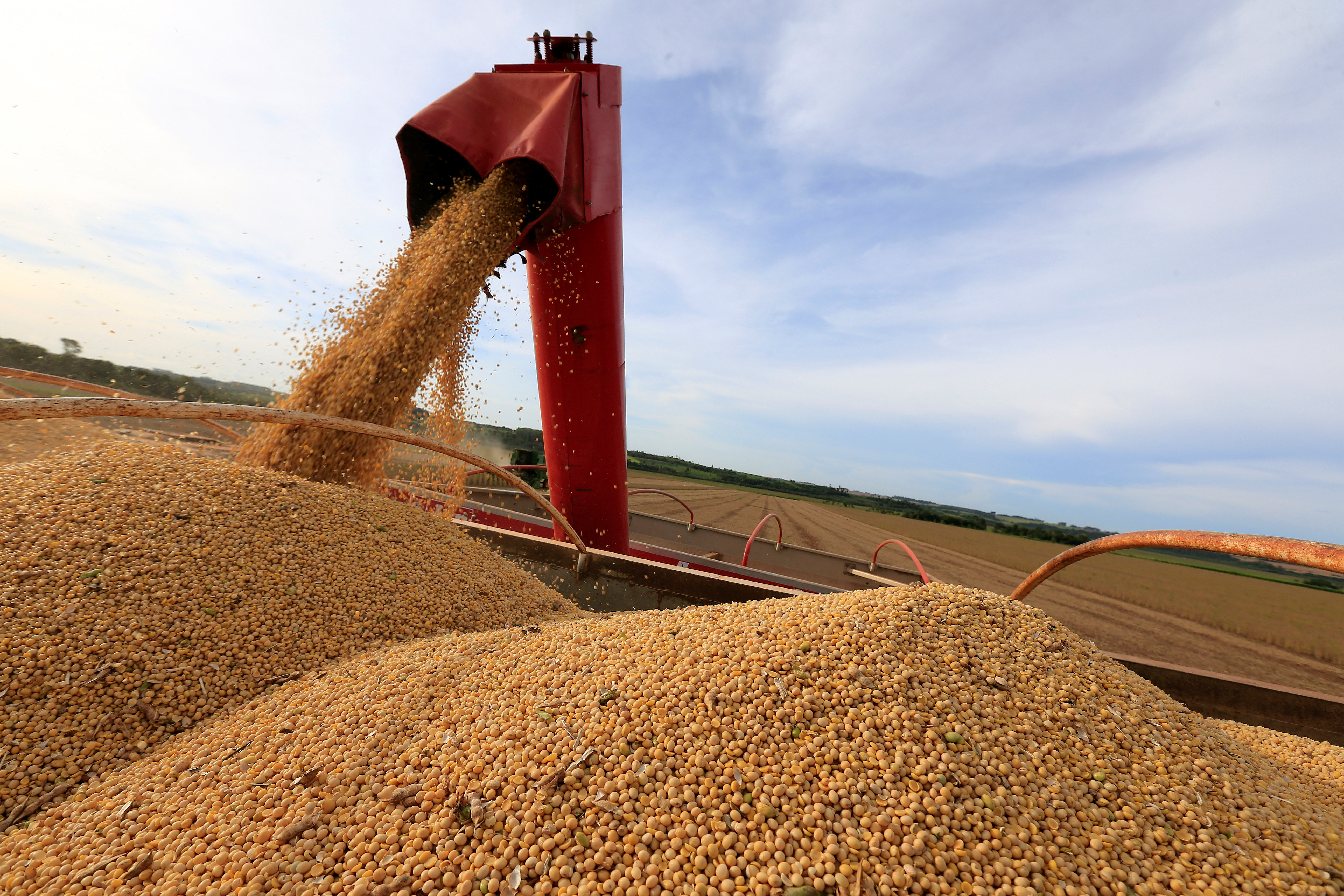 USDA reduz previsão para colheitas de milho e soja dos EUA