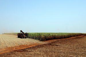 Porto de Açu terá usina de biometano a partir da cana em projeto com Coagro e ZEG Biogás