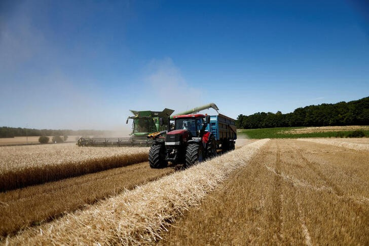 Soja cai em sessão volátil; trigo sobe com compra da China