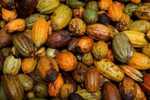 Cacau renova recorde em Londres enquanto especuladores se posicionam