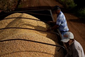 Anec reduz embarques de grãos do Brasil em setembro, mas ainda vê recorde para milho