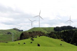 Agricultores da Nova Zelândia preparam voto de protesto contra medidas climáticas em eleição