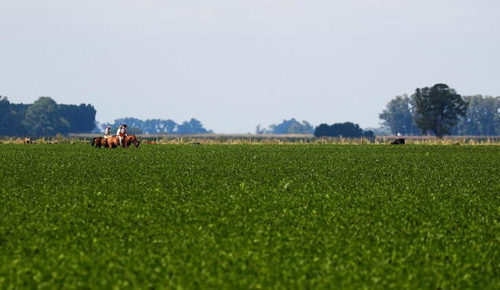 Plantio de soja do Brasil supera metade da área, mantém atraso, diz Pátria AgroNegócios