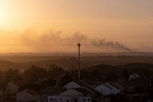 Forças Armadas de Israel: Não há cessar-fogo em Gaza, apenas breves pausas localizadas