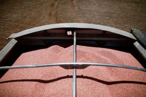 Lavoro prevê acelerar ganhos em 2024 em mercado de insumos agrícolas mais fraco
