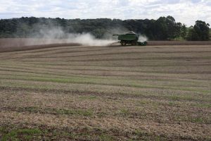 Plantio de soja em Mato Grosso atinge 83,3% da área, segue atrasado, diz Imea