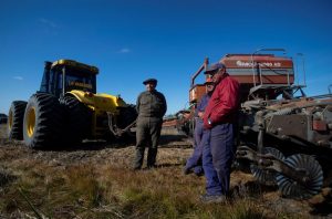 Plantio de soja na Argentina pode atingir área maior após chuvas, diz bolsa