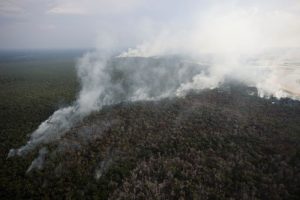 Emissão verde do Tesouro criará benchmark para títulos privados, diz Guardado, do BC