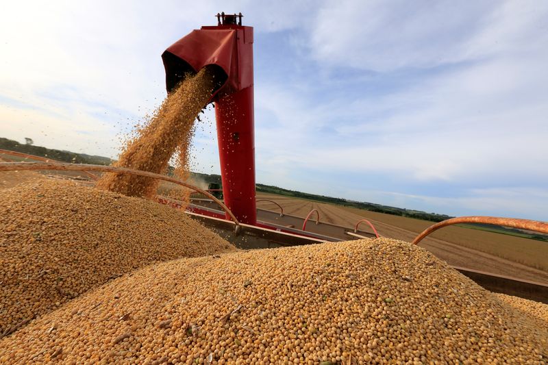 SLC cumpre plantio da soja precoce visando algodão, avalia avançar em arrendamentos