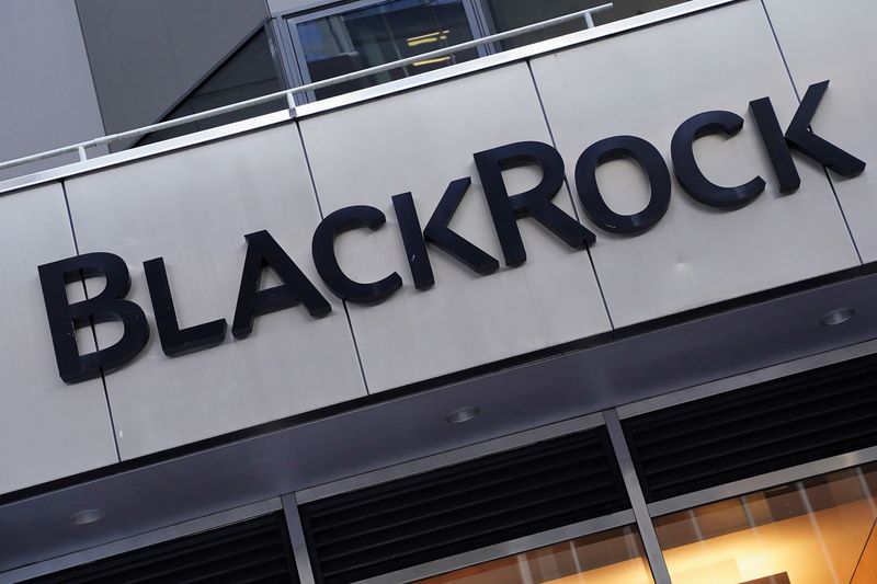 Crescimento econômico de 2% a 3% no longo prazo não seria suficiente para Brasil, diz BlackRock