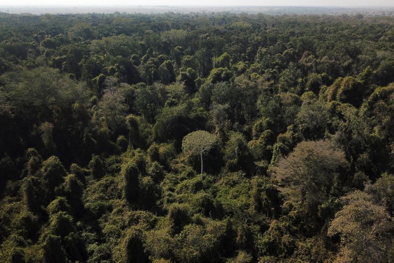 Noruega doa US$50 mi para Fundo Amazônia com queda do desmatamento