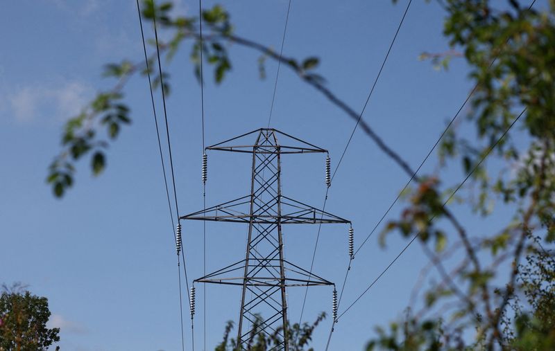 Não há razão para nenhuma distribuidora de energia perder concessão, diz CEO da CPFL
