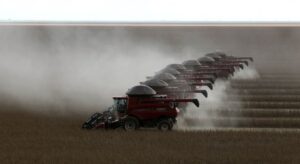 Colheita de soja do Brasil avança para 69,33% da área, diz Pátria AgroNegócios