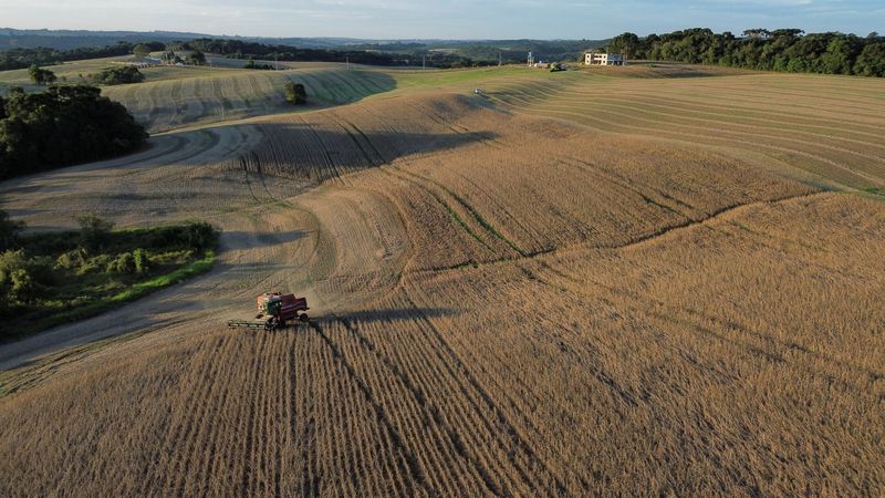 Colheita de soja no Brasil avança a 69% da área; plantio de milho 2ª safra encerra